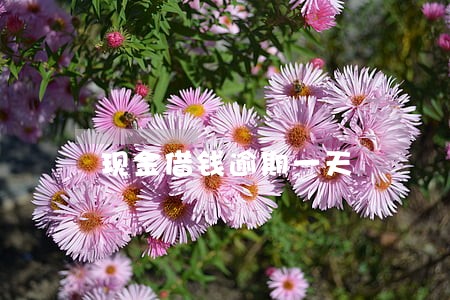 现金借钱逾期一天 现金借钱逾期一天