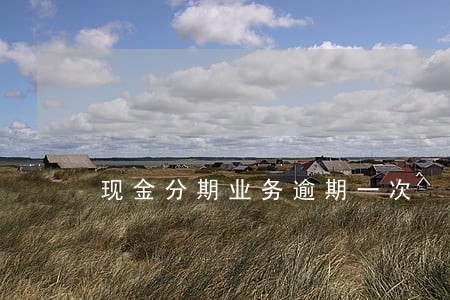 现金分期业务逾期一次 现金分期业务逾期一次