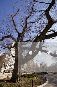 现金分期平台说我逾期 现金分期平台说我逾期
