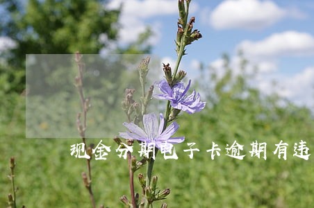 现金分期电子卡逾期有违约金吗 现金分期电子卡逾期有违约金吗