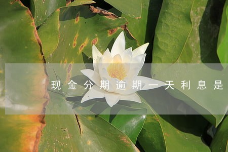 现金分期逾期一天利息是多少 现金分期逾期一天利息是多少