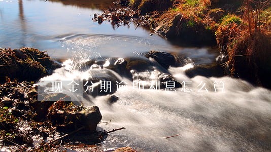 现金分期逾期利息怎么算 现金分期逾期利息怎么算