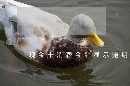 现金卡消费金融显示逾期什么意思 现金卡消费金融显示逾期什么意思