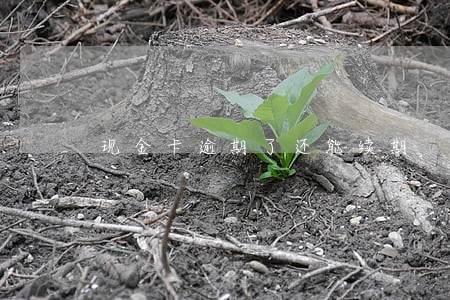 现金卡逾期了还能续期 现金卡逾期了还能续期