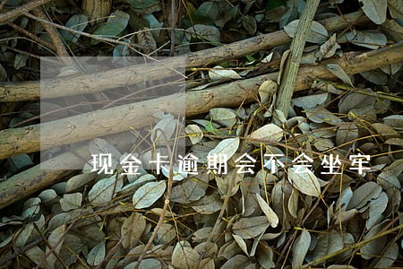 现金卡逾期会不会坐牢