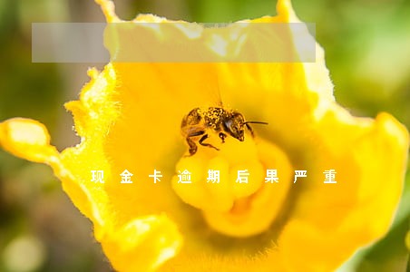 现金卡逾期后果严重 现金卡逾期后果严重