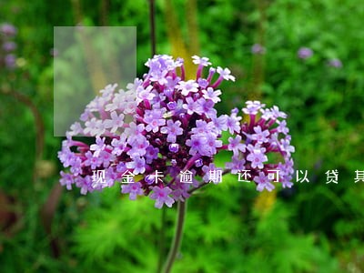 现金卡逾期还可以贷其他平台吗 现金卡逾期还可以贷其他平台吗