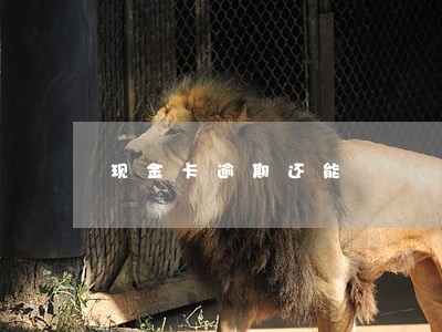 现金卡逾期还能 现金卡逾期还能