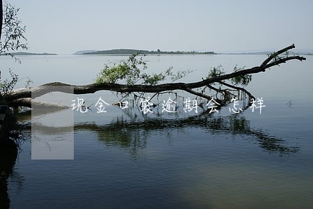 现金口袋逾期会怎样 现金口袋逾期会怎样