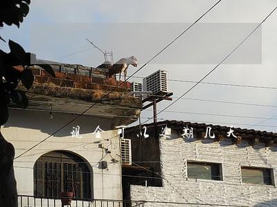 现金可以逾期几天 现金可以逾期几天
