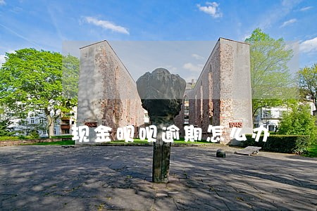 现金呗呗逾期怎么办 现金呗呗逾期怎么办