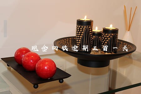 现金回收逾期三百一天
