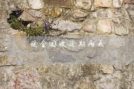 现金回收逾期两天 现金回收逾期两天