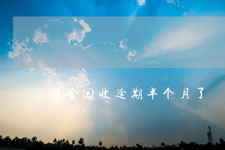 现金回收逾期半个月了