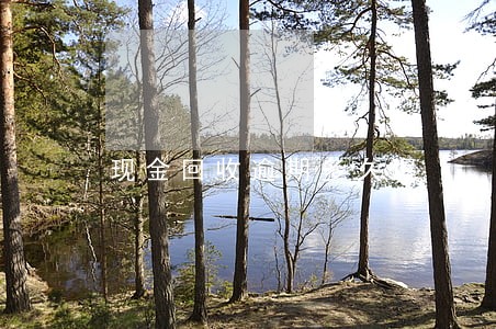 现金回收逾期多久爆 现金回收逾期多久爆