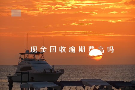 现金回收逾期费高吗