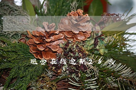现金在线逾期28天 现金在线逾期28天