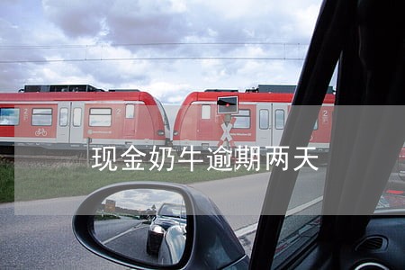 现金奶牛逾期两天 现金奶牛逾期两天