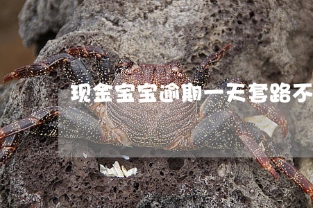 现金宝宝逾期一天套路不
