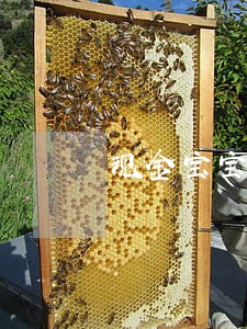 现金宝宝逾期一天还能借吗 现金宝宝逾期一天还能借吗