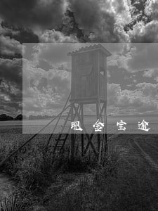 现金宝逾期了会上征信吗 现金宝逾期了会上征信吗