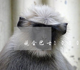 现金巴士1000逾期三年 现金巴士1000逾期三年