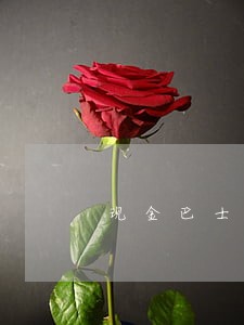 现金巴士1100逾期