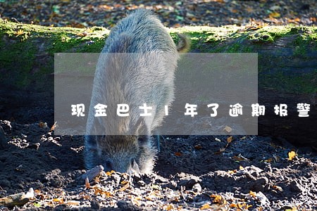 现金巴士1年了逾期报警 现金巴士1年了逾期报警