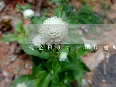 现金巴士2000逾期一年 现金巴士2000逾期一年