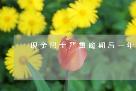 现金巴士严重逾期后一年再借 现金巴士严重逾期后一年再借