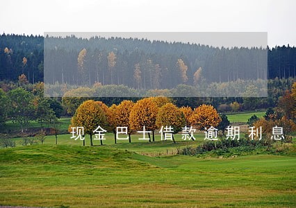 现金巴士借款逾期利息 现金巴士借款逾期利息