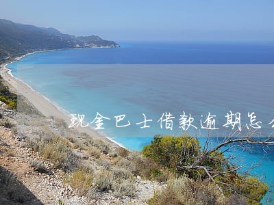 现金巴士借款逾期怎么处理