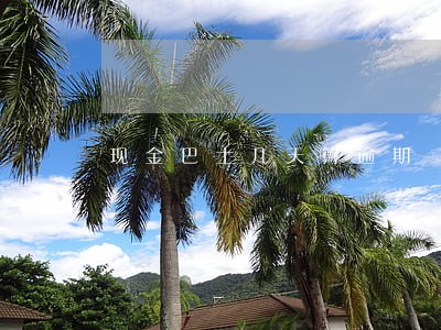 现金巴士几天算逾期 现金巴士几天算逾期