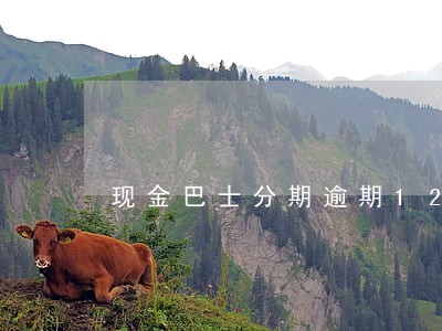 现金巴士分期逾期12天 现金巴士分期逾期12天
