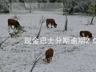 现金巴士分期逾期20天 现金巴士分期逾期20天