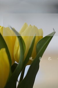 现金巴士分期逾期还款会怎么样 现金巴士分期逾期还款会怎么样