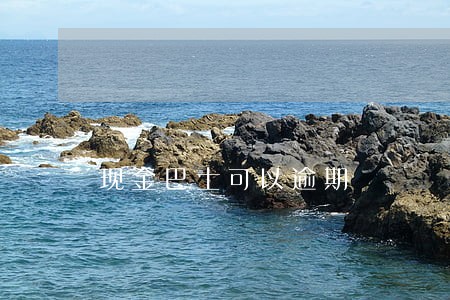 现金巴士可以逾期
