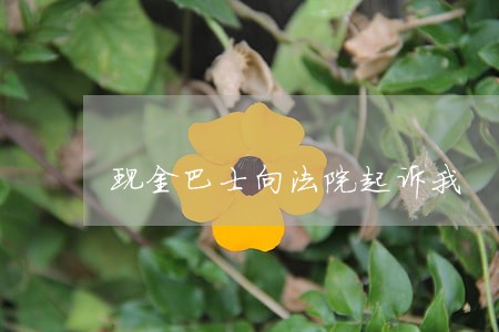 现金巴士向法院起诉我