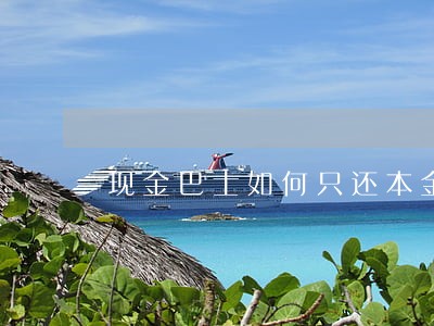 现金巴士如何只还本金 现金巴士如何只还本金