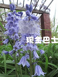 现金巴士小分期逾期能用吗 现金巴士小分期逾期能用吗