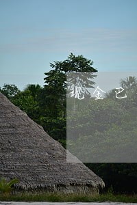 现金巴士巴士速贷逾期 现金巴士巴士速贷逾期