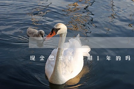 现金巴士有逾期1年的吗 现金巴士有逾期1年的吗