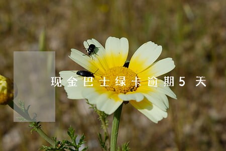 现金巴士绿卡逾期5天 现金巴士绿卡逾期5天