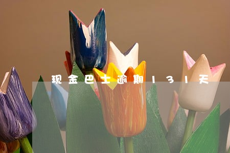 现金巴士逾期131天 现金巴士逾期131天