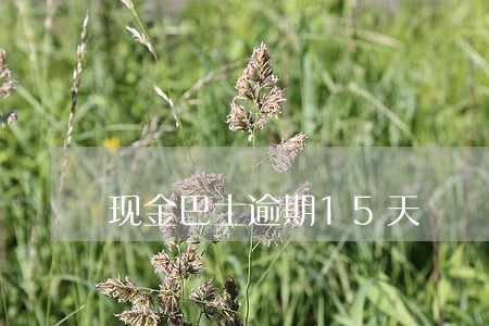 现金巴士逾期15天