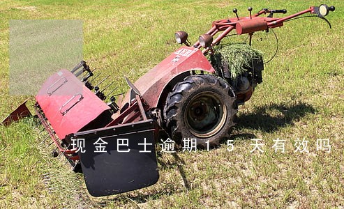现金巴士逾期15天有效吗