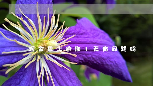 现金巴士逾期1天有问题吗