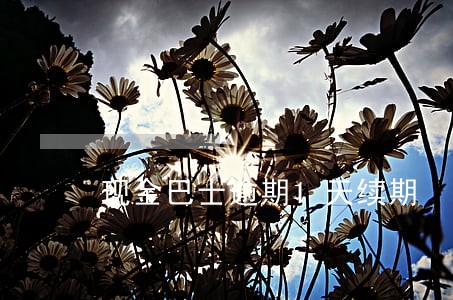 现金巴士逾期1天续期 现金巴士逾期1天续期