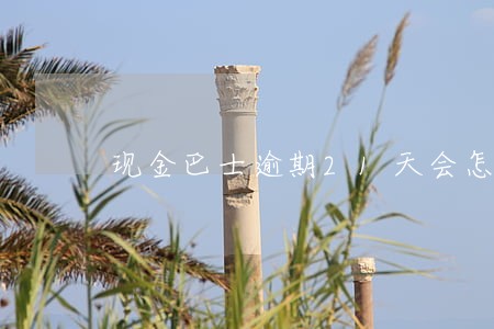 现金巴士逾期21天会怎么样 现金巴士逾期21天会怎么样