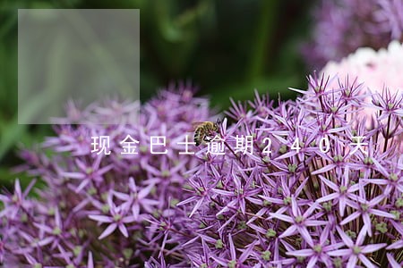 现金巴士逾期240天 现金巴士逾期240天